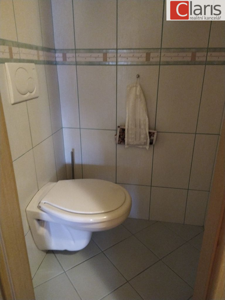 Prodej rodinného domu v Rybí - obrázek č.16